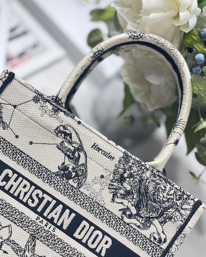 Christian Dior Shopping Bags